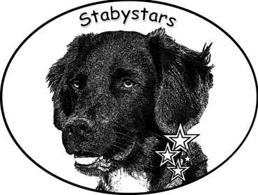 stabystars